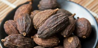 ਵੱਡੀ ਇਲਾਇਚੀ ਦੇ ਹੈਰਾਨੀਜਨਕ ਫ਼ਾਇਦੇ