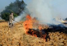 ਪੰਜਾਬ ਦੇ 3 ਜ਼ਿਲ੍ਹਿਆਂ ਦਾ ਫਿਰ ਉਹੀ ਹਾਲ, ਪਰਾਲੀ ਸਾੜਨ ਦੇ ਮਾਮਲੇ ‘ਚ ਸਭ ਤੋਂ ਅੱਗੇ, ਹੈਰਾਨ ਕਰੇਗਾ ਅੰਕੜਾ