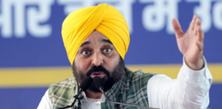 ਗ੍ਰਹਿ ਮੰਤਰੀ ਨਾਲ ਮੀਟਿੰਗ ਤੋਂ ਬਾਅਦ ਬੋਲੇ CM ਮਾਨ, ਜਿਹੜਾ ਆਉਂਦਾ ਪੰਜਾਬ ਨੂੰ ਲੁੱਟਣ ਲੱਗ ਜਾਂਦਾ